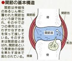 飯田橋近郊でボキボキ整体をお探しなら Ota整体院まで